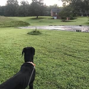 Meet your Posher, Melissa amy